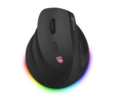 CONNECT IT FOR HEALTH CMO-2620 Cloudy Left černá