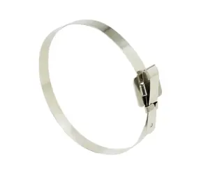Delock Kabelové pásky z ušlechtilé oceli / se sklopnou sponou / 250 x Š 10 mm / 10 ks