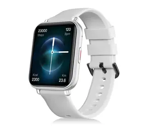Niceboy WATCH 4 Artic silver / Chytré hodinky / 1.78" AMOLED / IP67 / BT 5.3