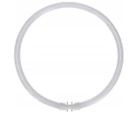 Osram LEDVANCE FC T5 2GX13 kruhová zářivka / 40W / 3000 K