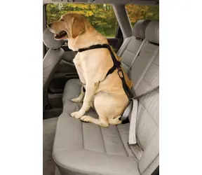 Kurgo Seatbelt Tether černá / Bezpečnostní autopás pro psa s ouškem 