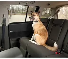 Kurgo Car Door Guard, 2ks / Ochranný potah na ochranu dveří 