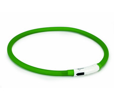 Beeztees Dogini Obojek silikonový s USB připojením zelená - 70x1cm