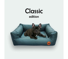Red Ant Classic Pelech pro psy smaragdově zelená - velikost S
