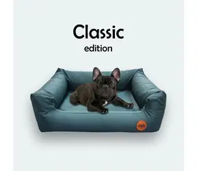 Red Ant Classic Pelech pro psy smaragdově zelená - velikost S