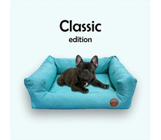 Red Ant Classic Pelech pro psy mentolová - velikost XL