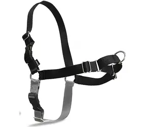 PetSafe EasyWalk Postroj černá - velikost M