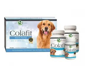 Colafit Dárkový balíček - velký / Colafit Max forte 200 tob. + 50 tob.