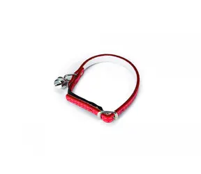 Beeztees Obojek pro kočky kožený červená 23.5-28cm x 10mm
