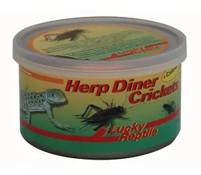 Lucky Reptile Herp Diner - cvrčci 35g - velcí
