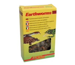Lucky Reptile Earthworms 10g