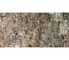 Lucky Reptile Korkové pozadí - Drsné 60x30 cm 