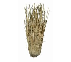 Lucky Reptile Grass Bushes 25-40 cm