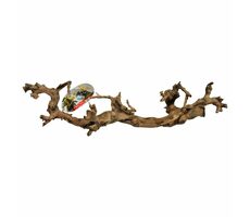 Lucky Reptile Grapevine S 30-45 cm