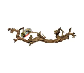 Lucky Reptile Grapevine S 30-45 cm