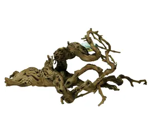 Lucky Reptile Grapevine Premium 60-100 cm