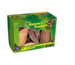 Lucky Reptile Nature´s Treasure
