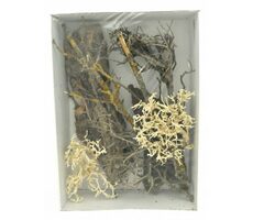 Lucky Reptile Deco Set Desert