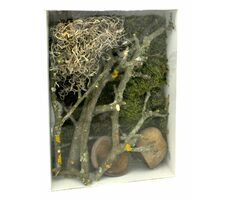 Lucky Reptile Deco Set Jungle
