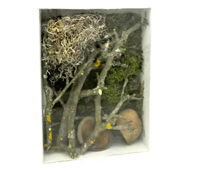 Lucky Reptile Deco Set Jungle