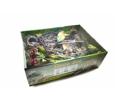 Lucky Reptile Deco Set Mantis