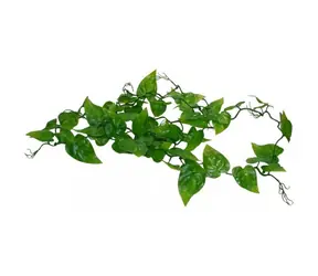 Lucky Reptile Jungle Vine Philo Vine cca 200 cm