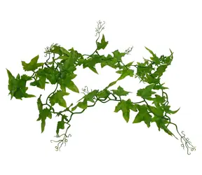 Lucky Reptile Jungle Vine Ivy Vine cca 200 cm