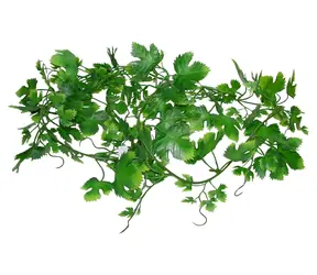 Lucky Reptile Jungle Vine Gape Leaf Vine cca 200 cm