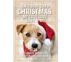 Flamingo Adventní kalendář s pamlsky pro psy 295g