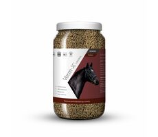 Verm-X Přírodní pelety proti střevním parazitům pro koně 750g