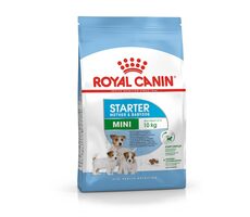 Royal Canin Mini Starter Mother & Babydog - Poultry & Rice 4 kg / Granule pro feny a štěňa / do 10 kg 