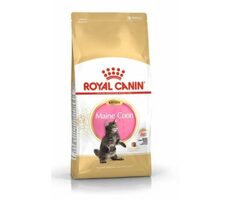 Royal Canin Maine Coon Kitten 4 kg / Granule pro kočky 