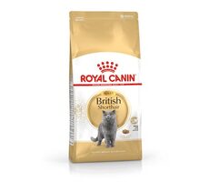 Royal Canin British Shorthair cats dry food 2 kg Adult / Granule pro dospělé kočky / britské krátkosrtské