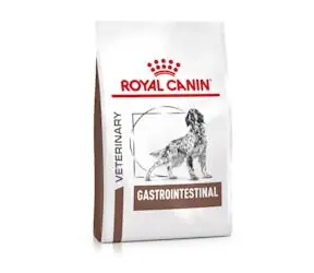 Royal Canin Veterinary Diet Dog Gastrointestinal 2 kg / Granule pro psy / dieta střevní potíže