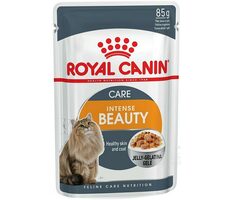 Royal Canin Digest Sensitive Care 12x 85g / Kapsičky pro kočky / citlivé trávení
