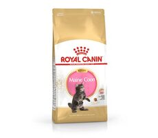 Royal Canin Maine Coon Kitten cats 2 kg / Granule pro koťata