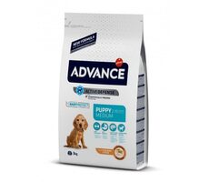 ADVANCE DOG MEDIUM Puppy Protect 3kg / Granule pro psy / pro štěňata středních plemen