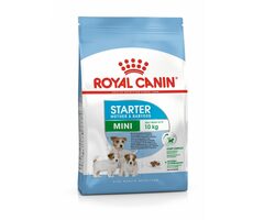 Royal Canin Mini Starter 1 kg / Granule pro psy