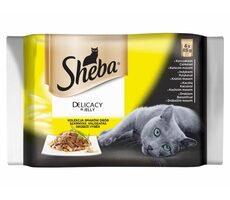 Sheba DELICACY in Jely Drůbeží výběr 4pack 340g / Kapsičky pro kočky