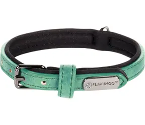 Flamingo Delu Obojek s neoprenovým polstrováním zelená XS