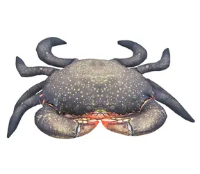 Gaby Polštář Krab bahenní 60cm
