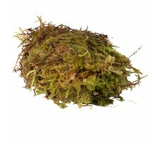 HabiStat Sphagnum Moss 1kg / Přírodní mech 