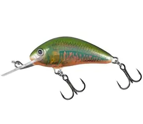 Salmo Wobler Hornet Floating 6cm Holo Oikawa