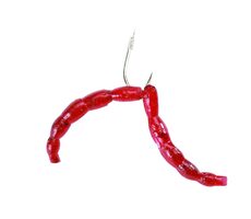 Berkley Gumová nástraha Powerbait Power Micro Blood Worms
