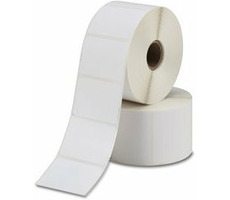 ZEBRA Z-Perform 1000T Samolepicí etikety TT 102 x 152mm (12 rolí)