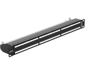 Delock 19” Patch Panel / 24 Port / Cat.6A / černá