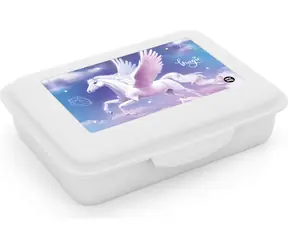 OXYBAG Box na svačinu Pegas