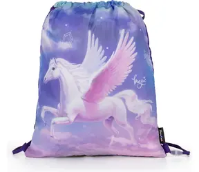 OXYBAG Sáček na cvičky 30x37cm Pegas