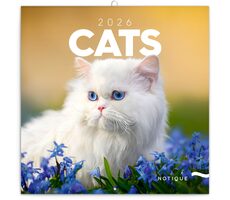 NOTIQUE Poznámkový kalendář Kočky 2026 - Západní / 30 x 30 cm