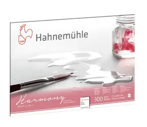 Hahnemühle Skicák Harmony Watercolour Cold Pressed Matt A4/12 listů/300 g
